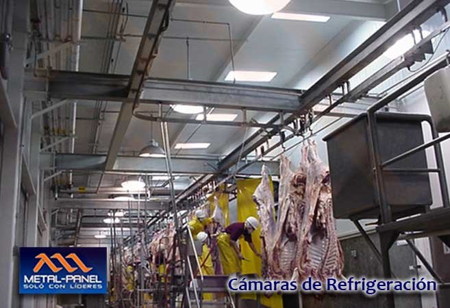 Camara_Refrigeracion03